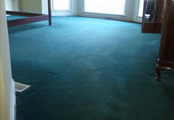 Steam Dryers Carpet Cleaning