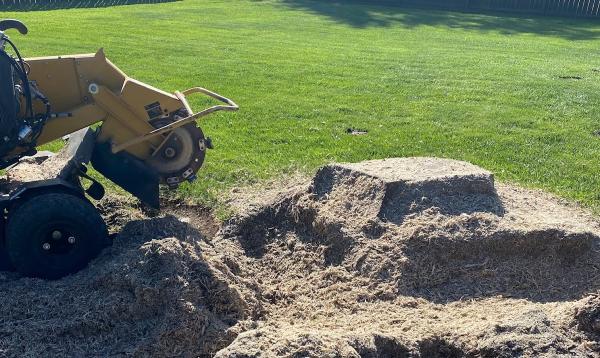 Precision Tree Stump Grinding