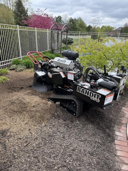 Precision Tree Stump Grinding