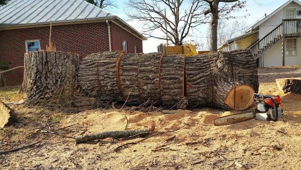 Woody's Tree Service