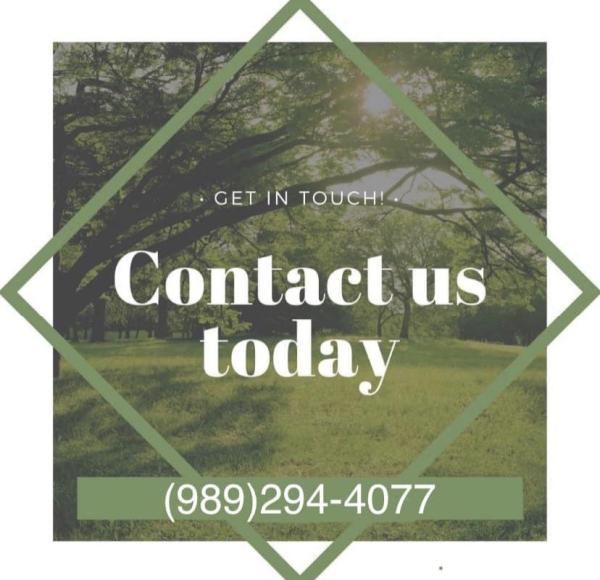 Ultimate Cut Tree Service