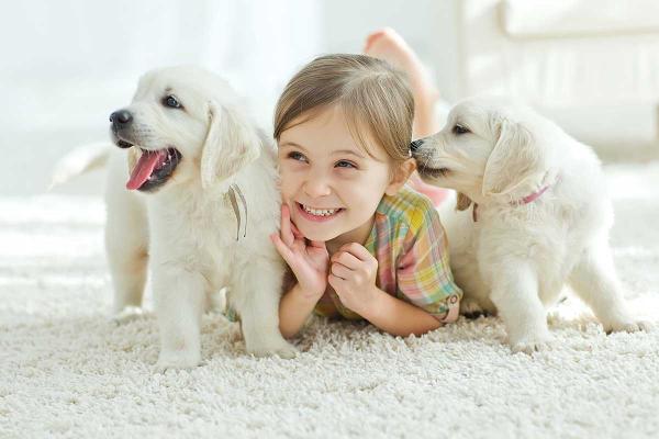 NYC Local Carpet & Rug Cleaning