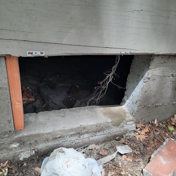 Integrity Rodent Solutions