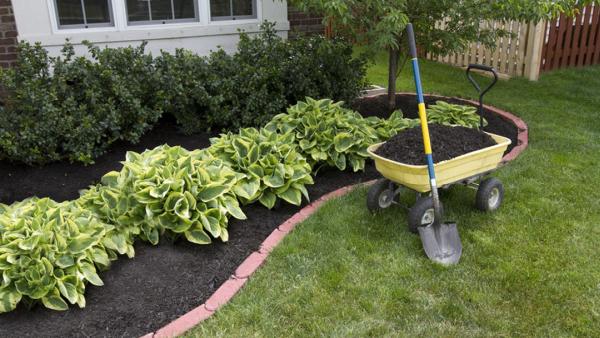 Darnell Landscaping Inc