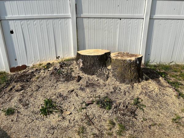 Stump Busters