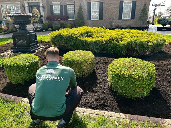 Cleargreen Lawn & Landscaping