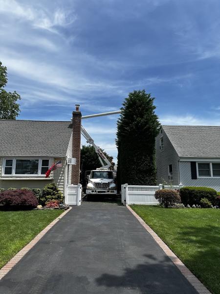 K & D Tree Masters Inc