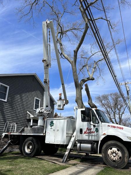 K & D Tree Masters Inc