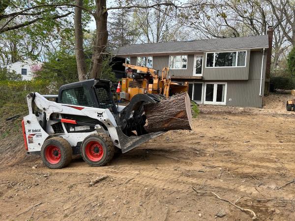 K & D Tree Masters Inc