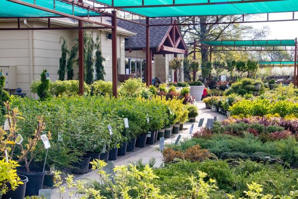Tree Top Nursery & Landscape Inc.