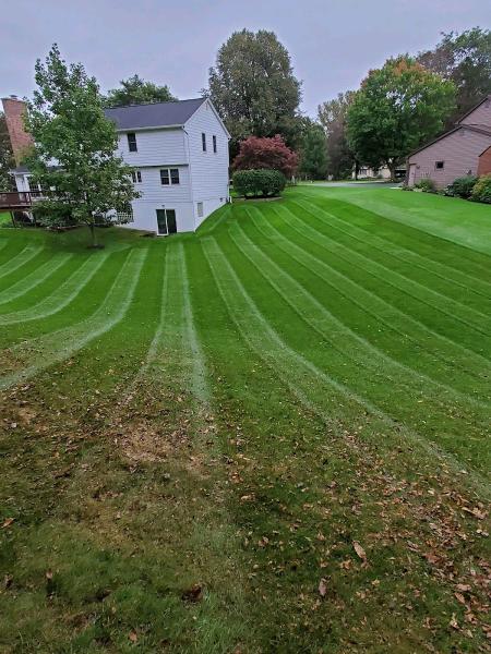 Flett Lawn