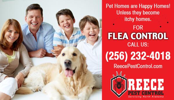 Reece Pest Control