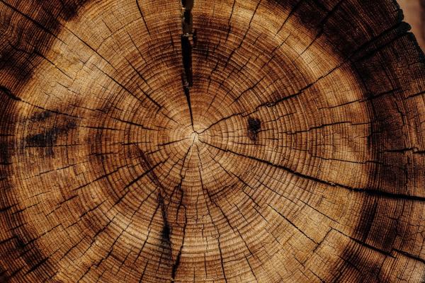 Logs to Lumber