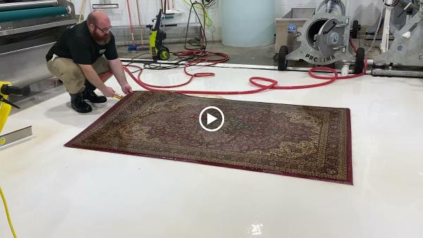Jonquil Rug Cleaning Company