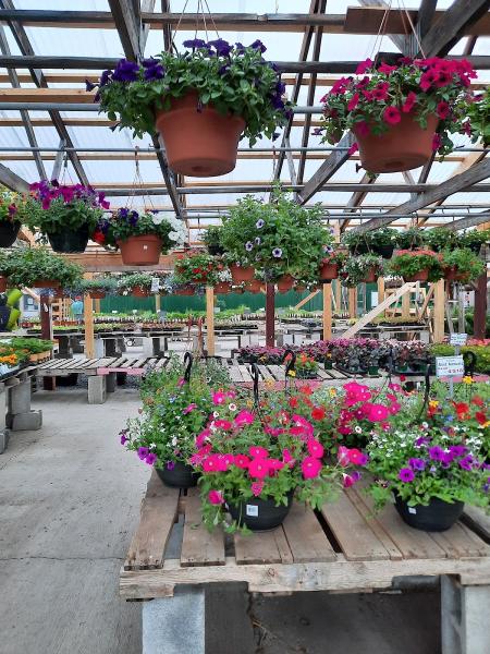 Hewitt's Garden Center