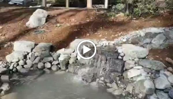 Full Throttle Landscaping