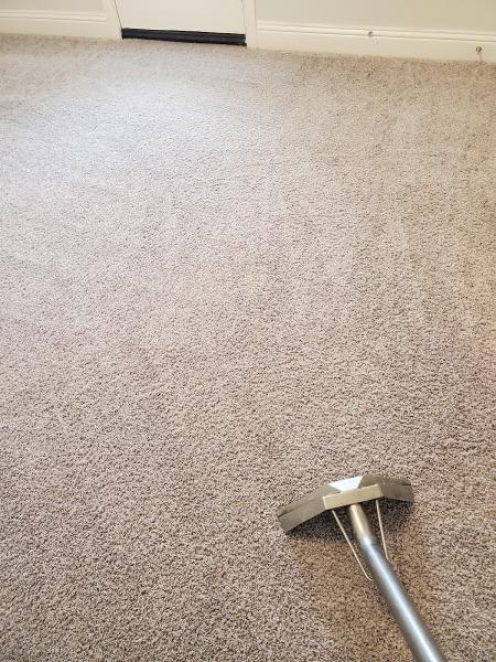 Unique Carpet Care