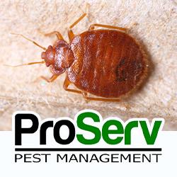 Pro Serv Pest Management