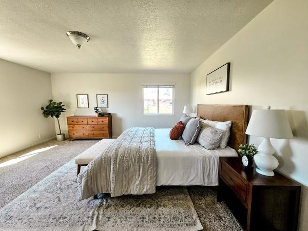 Aloe & Elm Interiors