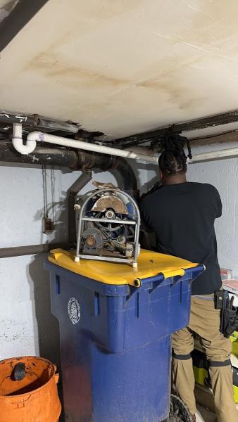 Drain Remedy Inc