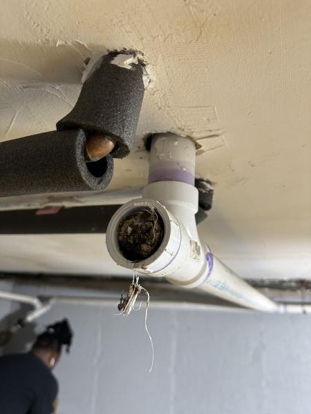 Drain Remedy Inc