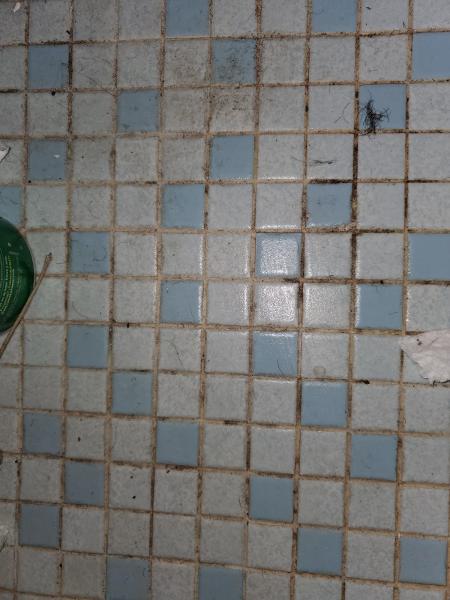 All the Best Cleaners Llc.
