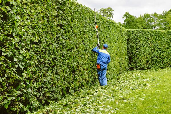 Lee's Tree Service