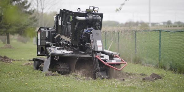 Paylor Stump Grinding