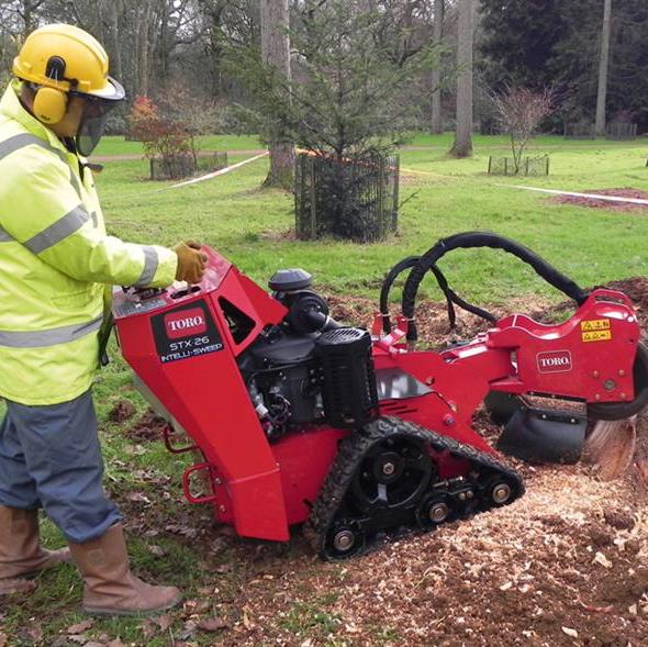 Paylor Stump Grinding