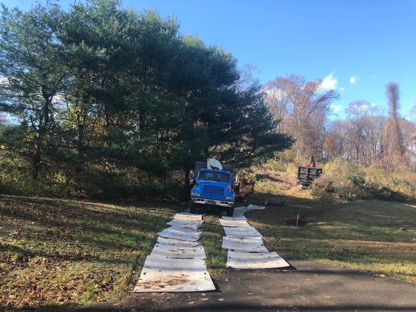 Northworx Tree Care