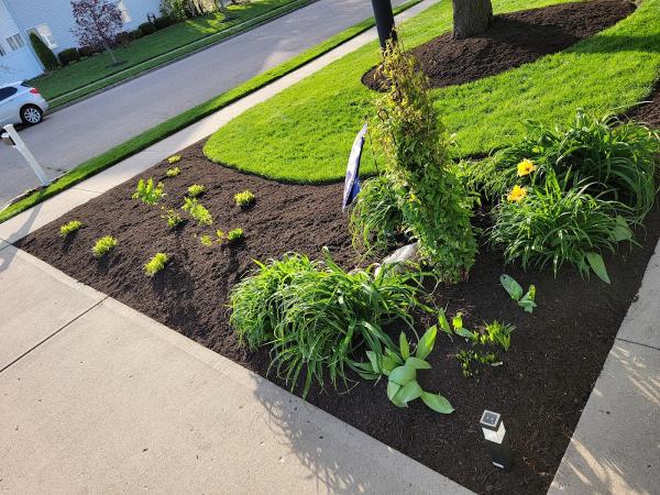Fincel Lawn Care