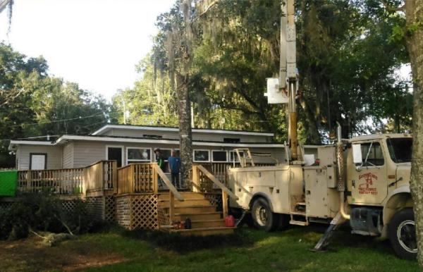 Easy Care Tree Service