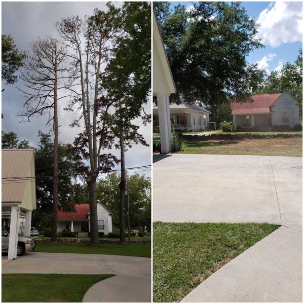 Easy Care Tree Service