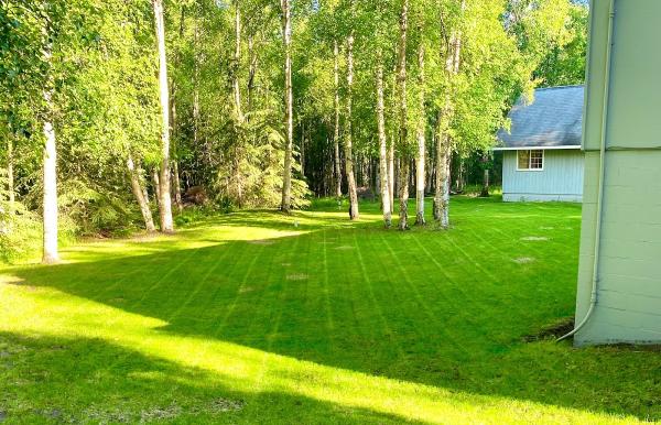 AK Beast Mowed