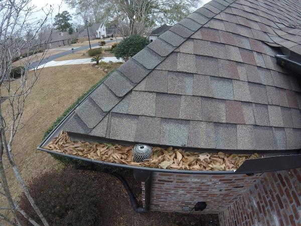 C.W. Inspections LLC