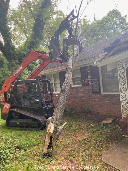 Douglas County Tree Service