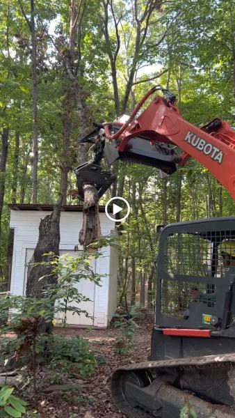 Douglas County Tree Service