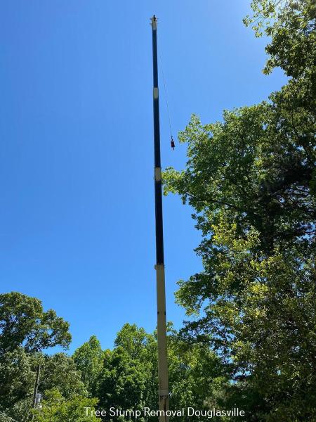 Douglas County Tree Service