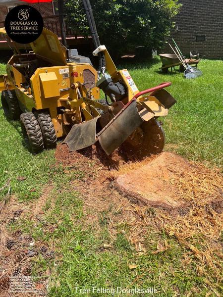 Douglas County Tree Service