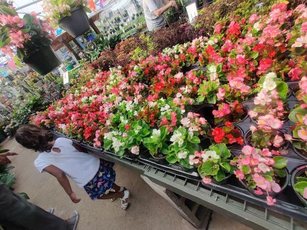 Brumley Gardens Inc