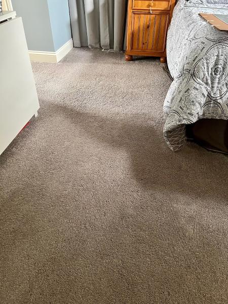 Dri-Tek Carpet Care