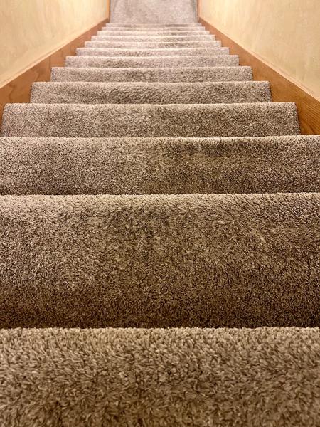 Dri-Tek Carpet Care