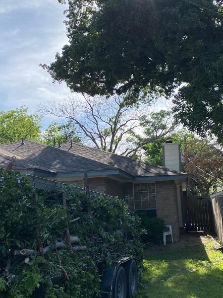 A Tree Service.