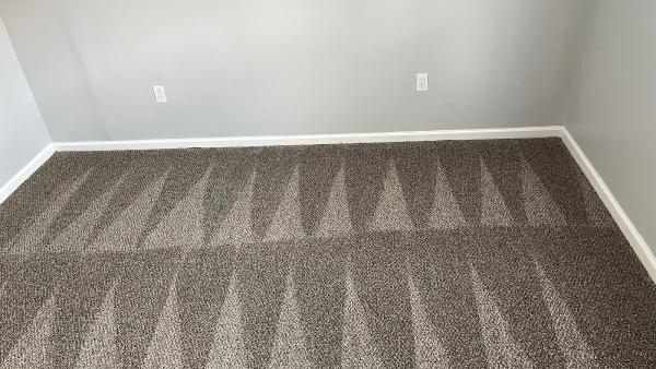B&G Carpet Cleaning