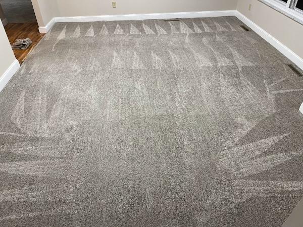 B&G Carpet Cleaning
