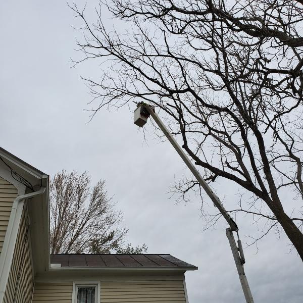 Bluestone Hills Tree Service and Landscaping