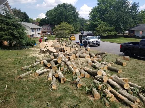 Bluestone Hills Tree Service and Landscaping
