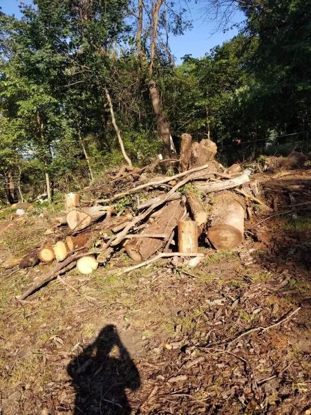 Bluestone Hills Tree Service and Landscaping