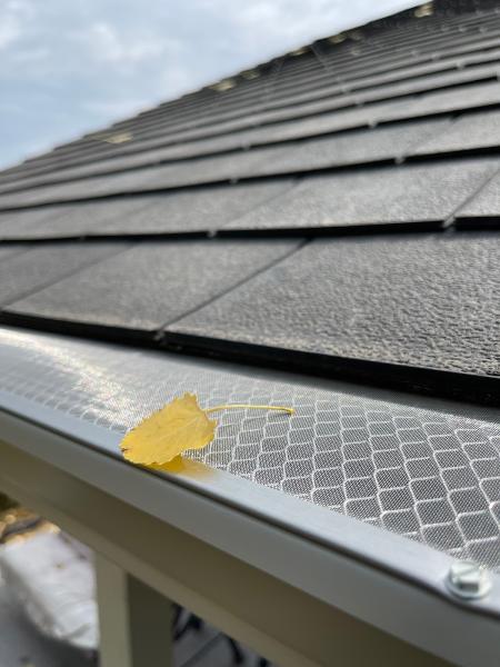 Balam Seamless Gutters + Construction Llc