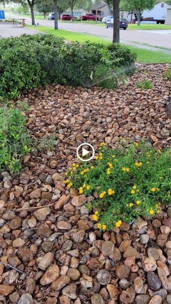 JG Landscaping
